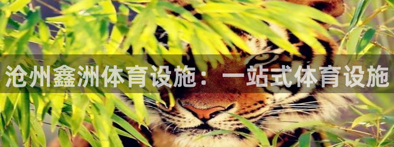 尊龙凯时法充十万返现多少
