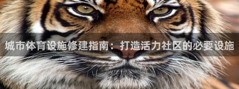 尊龙登录地址