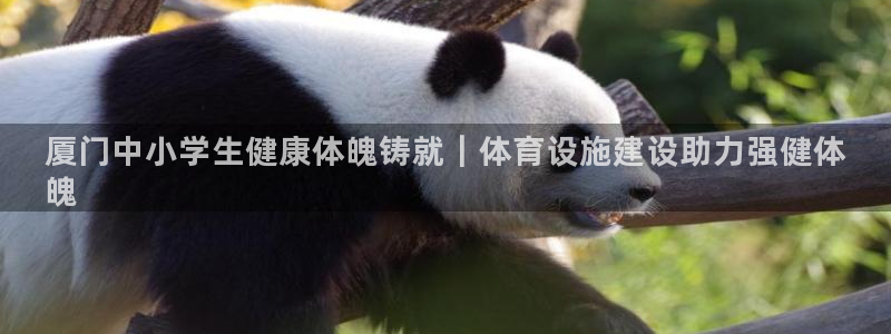 凯时kb88kb88