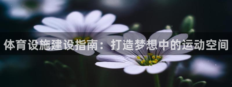 尊龙凯时和九游会哪个平台好一点