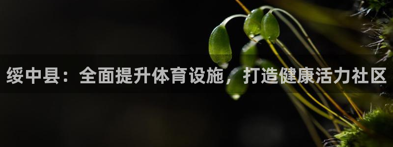 尊龙现金一下指导AG发财网