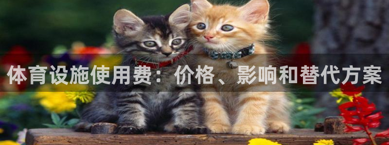 Z6尊龙凯时登录