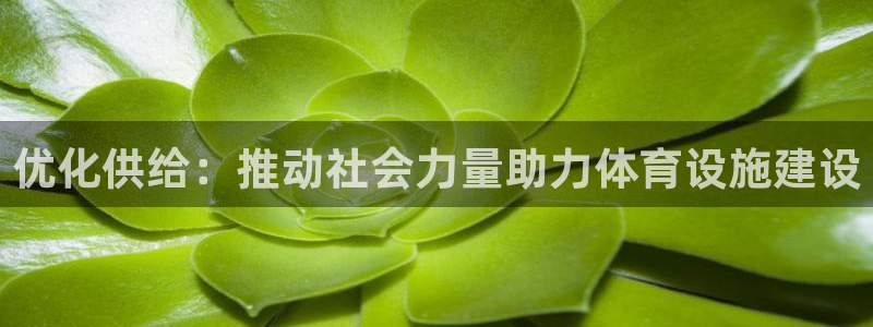 尊龙凯时产品系列