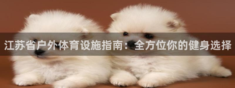 尊龙新版官网网页版