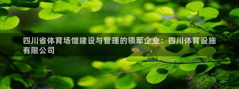 尊龙新版App下载