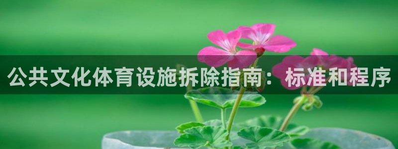 尊龙AG发财网
