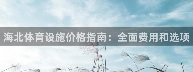 尊龙凯时请求参数不符合