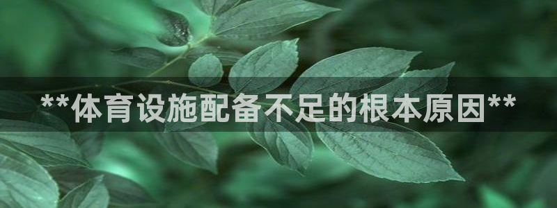 尊龙现金推荐ag发财网