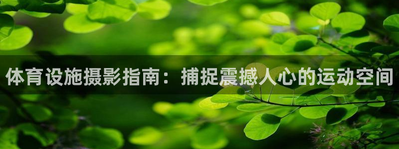 尊龙凯时是直营吗