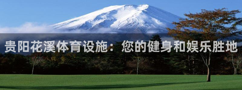 尊龙游戏官方网