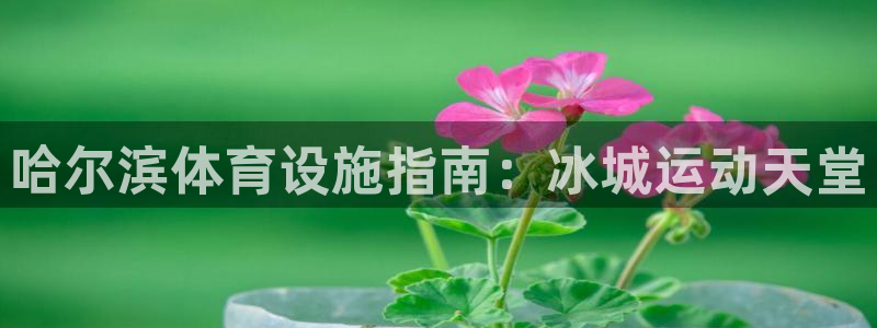 尊龙凯时网站赌愽做假吗