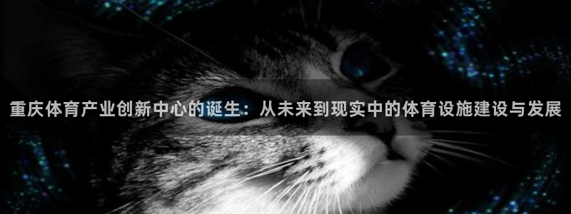 Z6尊龙老版