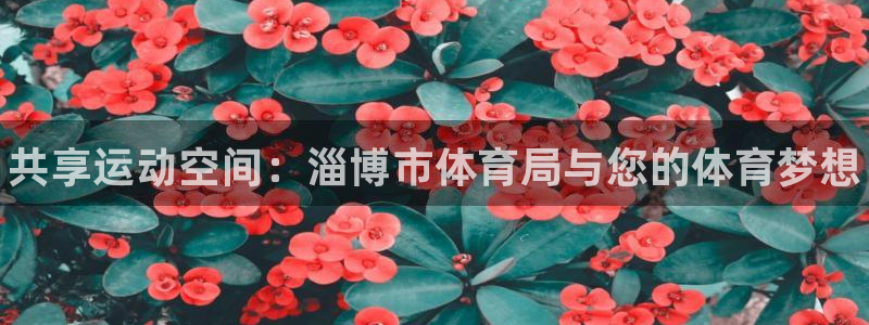 凯时官网联系方式