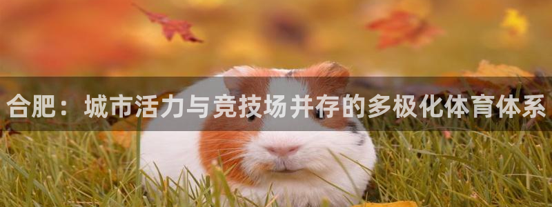 凯时游戏官方网站