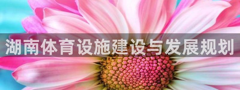 尊龙凯时取款一直支付中